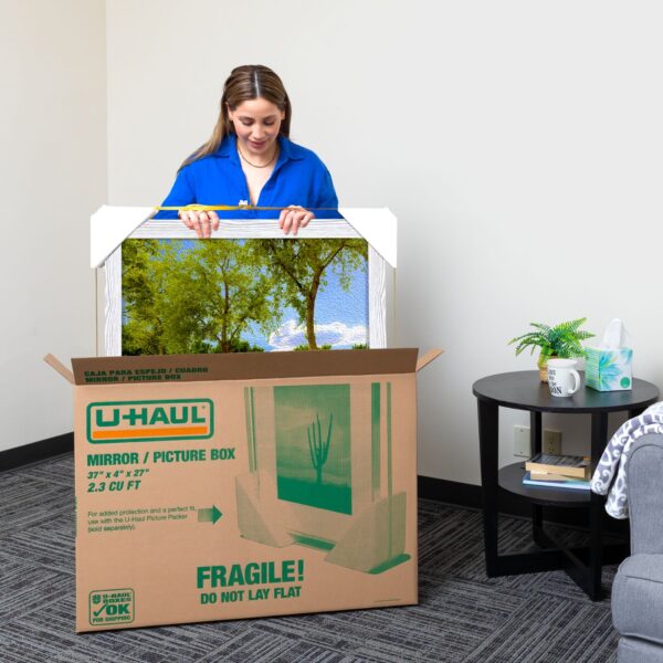 Mirror & Picture Moving Box - Image 4